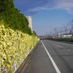 パナック工業さん小田急線沿いのバラ 2017年4月29日撮影