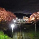 やまきた桜まつり③ 2017年4月8日撮影