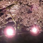 やまきた桜まつり④ 2017年4月8日撮影