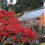 大雄山最乗寺の紅葉 2017年11月19日