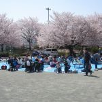 2018年3月31日 下島桜まつり
