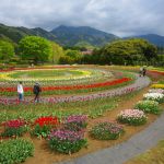 2018年4月14日 秦野戸川公園と水無川沿いウオーキング