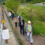 2018年4月14日 秦野戸川公園と水無川沿いウオーキング