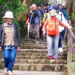 2018年10月20日 高尾山ハイキング