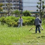 2019年5月26日 下島クリーンデー