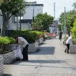 2019年5月26日 下島クリーンデー