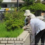 2019年5月26日 下島クリーンデー