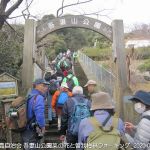 2020年2月15日 吾妻山公園菜の花と曽我梅林ウォーキング