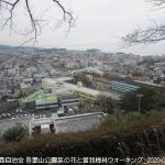 2020年2月15日 吾妻山公園菜の花と曽我梅林ウォーキング