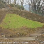 2020年2月15日 吾妻山公園菜の花と曽我梅林ウォーキング