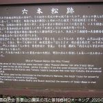 2020年2月15日 吾妻山公園菜の花と曽我梅林ウォーキング